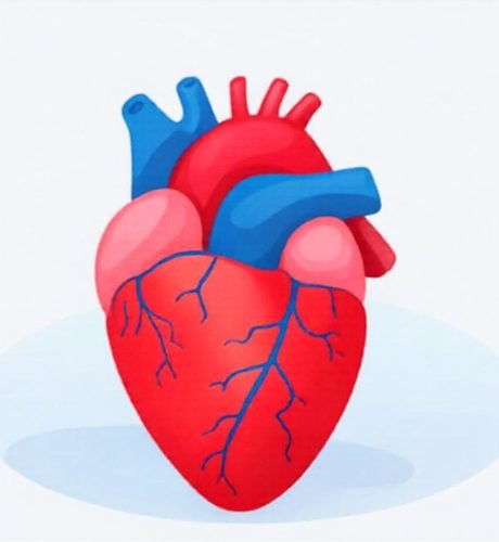 scientific views imagecb